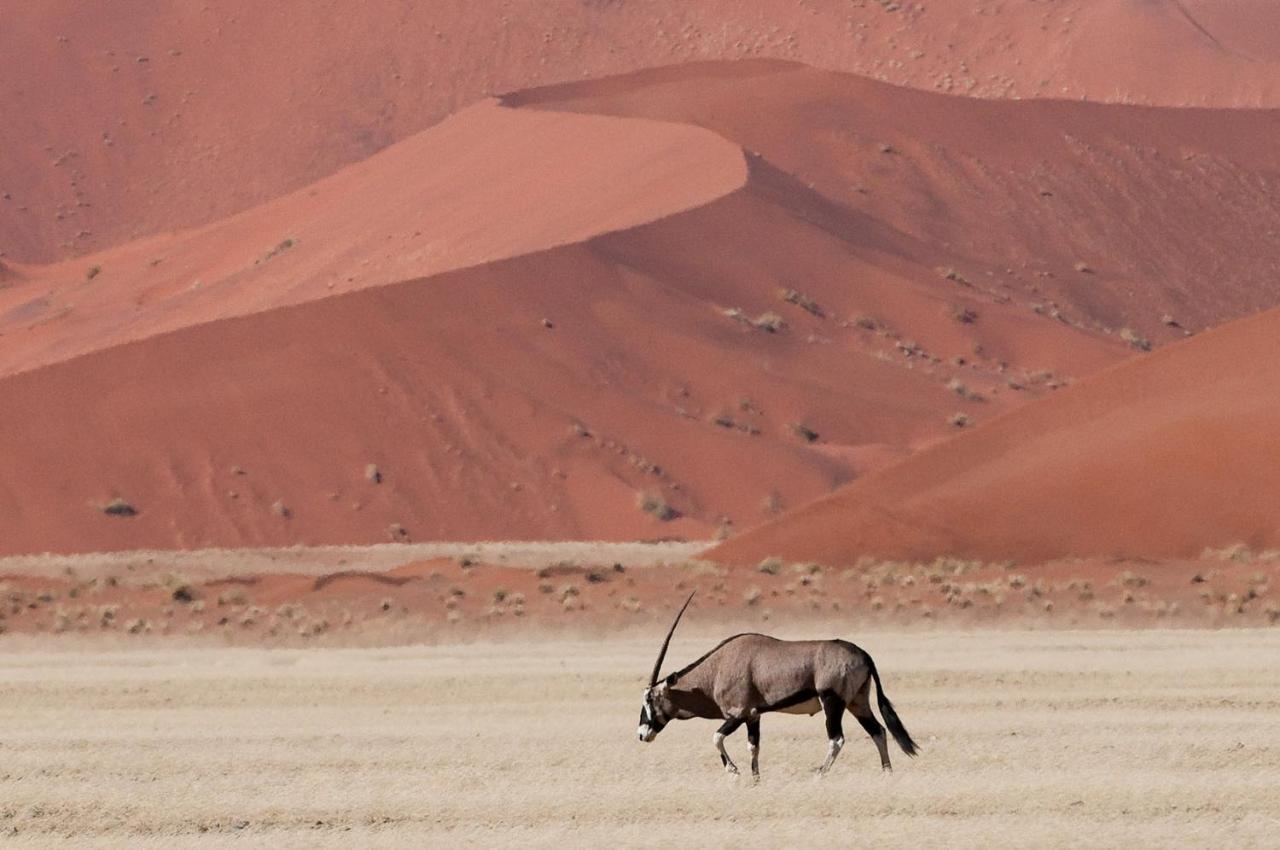 Wilderness Safaris Kulala Desert Lodge 세스리엠 외부 사진
