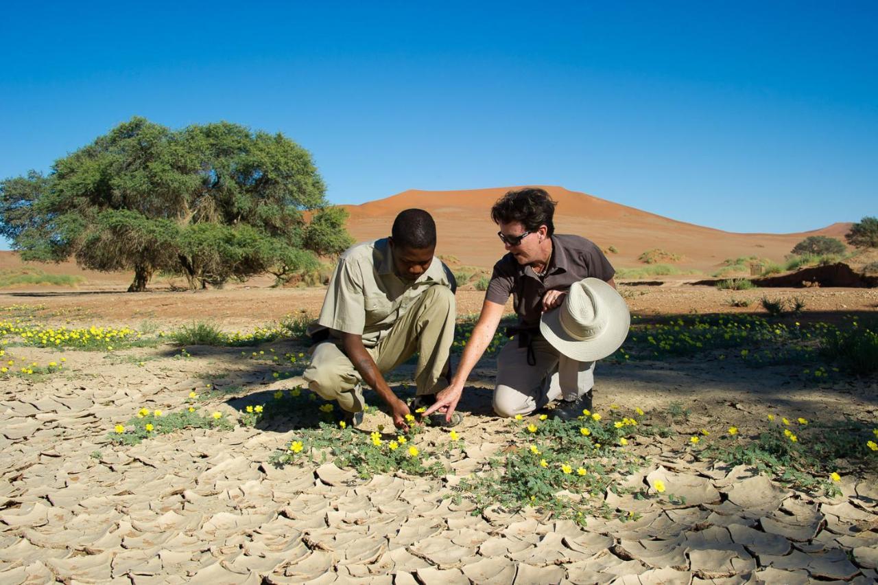 Wilderness Safaris Kulala Desert Lodge 세스리엠 외부 사진